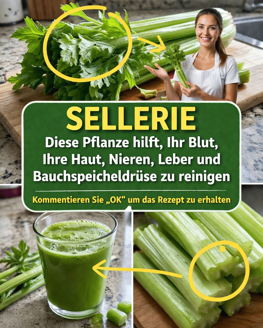 Wie Staudensellerie in deine Wellness-Routine passen kann: Einfaches Saftrezept und praktische Tipps zum Ausprobieren noch heute