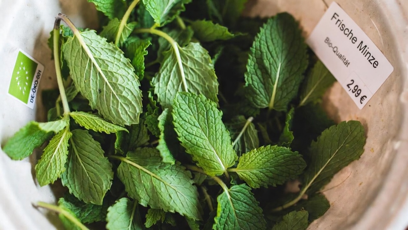 Schlechte Durchblutung verstehen und den Komfort der Beinvenen verbessern