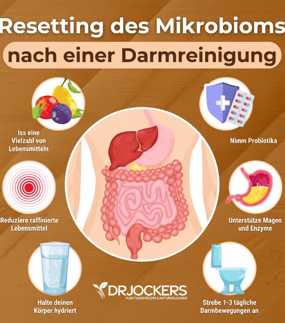 Warum die Gesundheit des Dickdarms für das tägliche Wohlbefinden wichtig ist