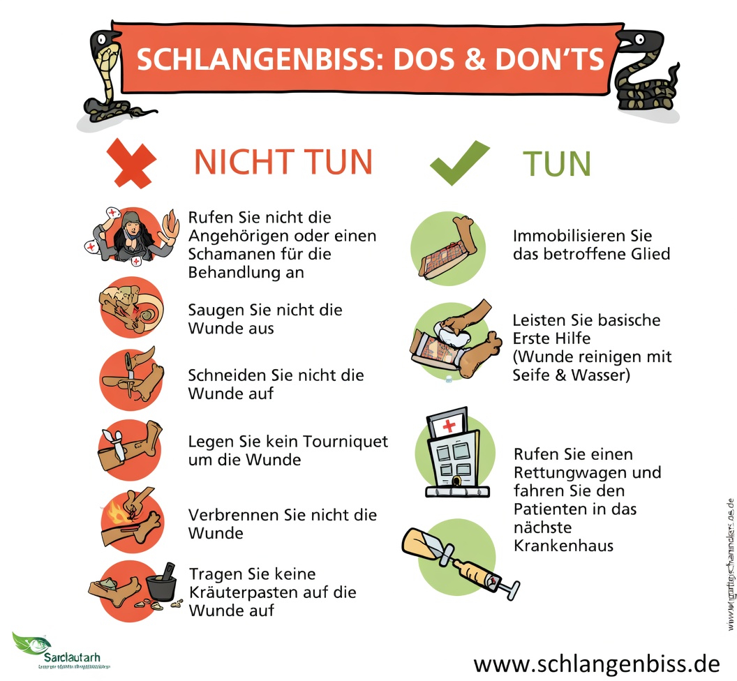 So erkennen Sie giftige und ungiftige Schlangenbisse: Wichtige Anzeichen und Erste-Hilfe-Maßnahmen