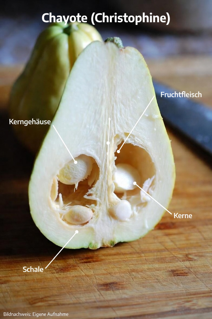 Die ernährungsphysiologischen Vorteile von Chayote in Ihrer täglichen Ernährung entdecken