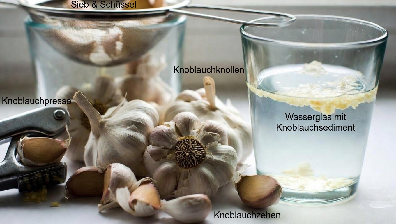 Warum so viele Menschen jeden Morgen auf nüchternen Magen Knoblauchwasser trinken