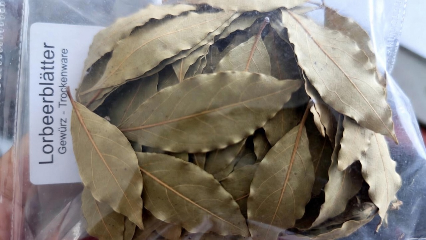 Erforschung der möglichen unterstützenden Rolle von Lorbeerblättern und Nelken für die Nierengesundheit: Ein einfacher Leitfaden für einen Kräuteraufguss