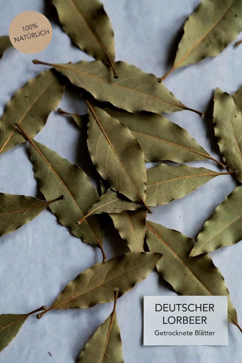 Die potenziellen gesundheitlichen Vorteile von Lorbeerblättern im Alltag erkunden