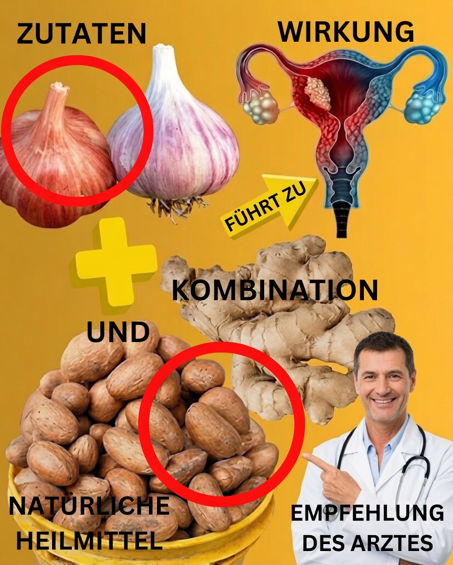 Getränk aus Bitterkola, Knoblauch und Ingwer: das einfache tägliche Tonikum für Energie, Immunität und Vitalität