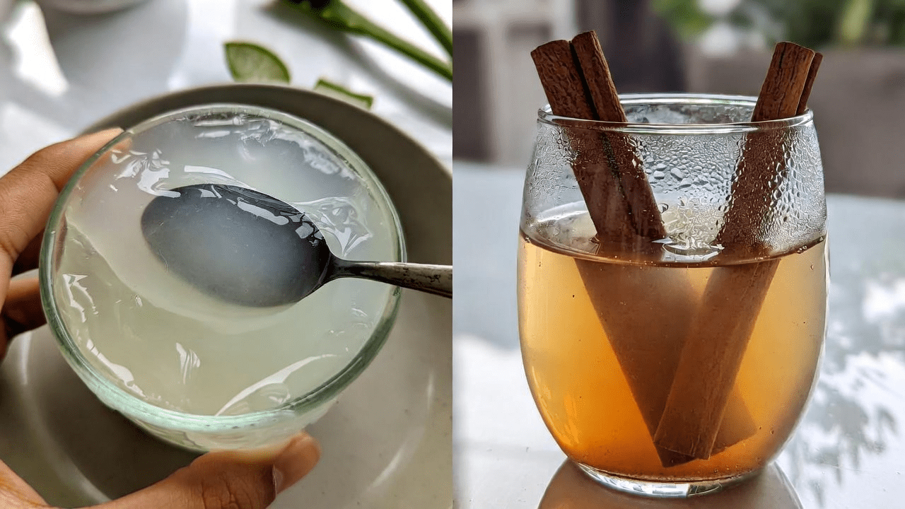 Aloe Vera und Zimt: Erforschung natürlicher Inhaltsstoffe für Wohlbefinden und Unterstützung der Augengesundheit