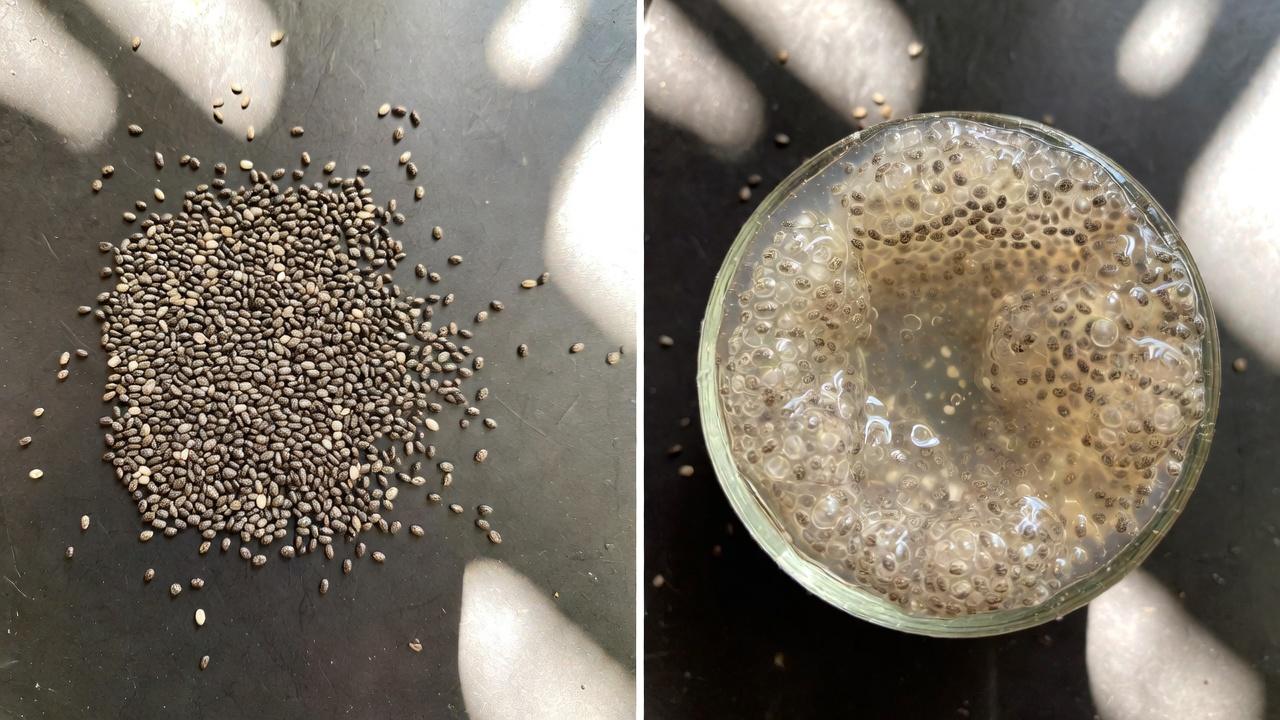 Warum die Gesundheit des Dickdarms für das tägliche Wohlbefinden wichtig ist