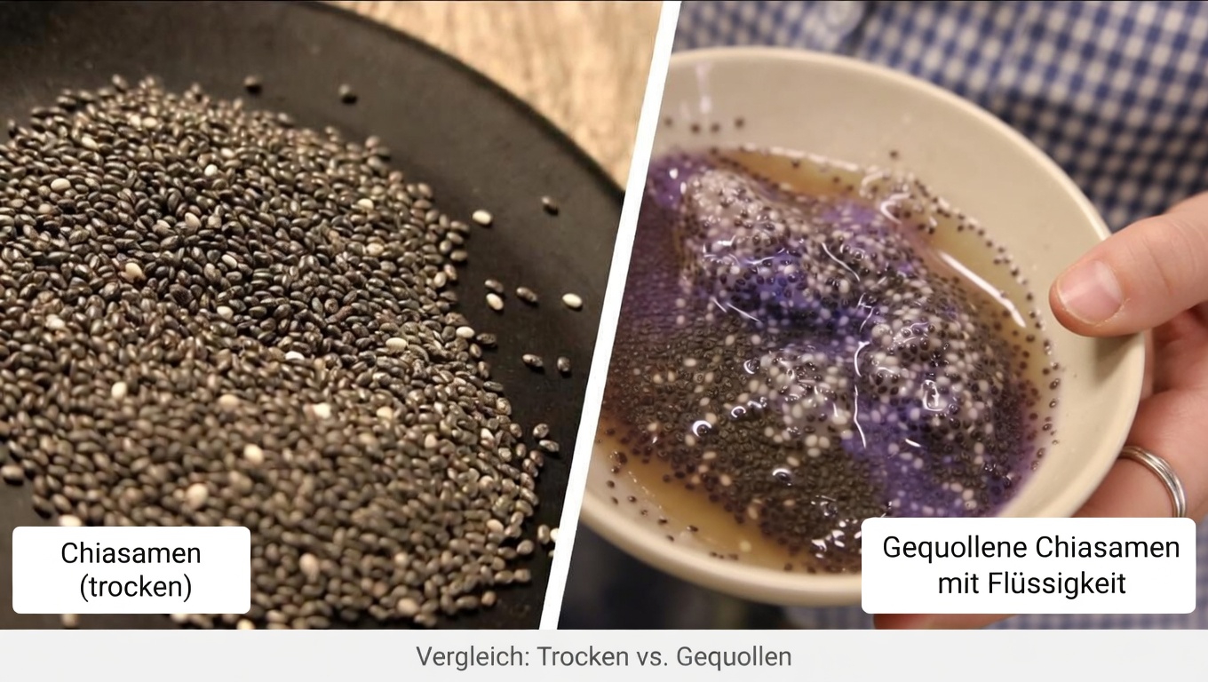 Warum die Gesundheit des Dickdarms für das tägliche Wohlbefinden wichtig ist