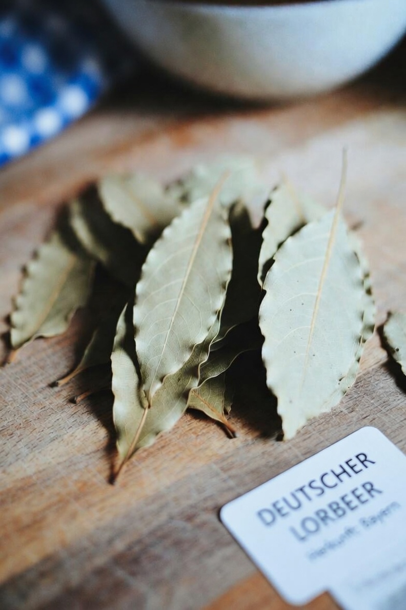 Lorbeerblattöl in der Hautpflege: Was die Wissenschaft über traditionelle Anwendungen und die sichere Anwendung zu Hause sagt