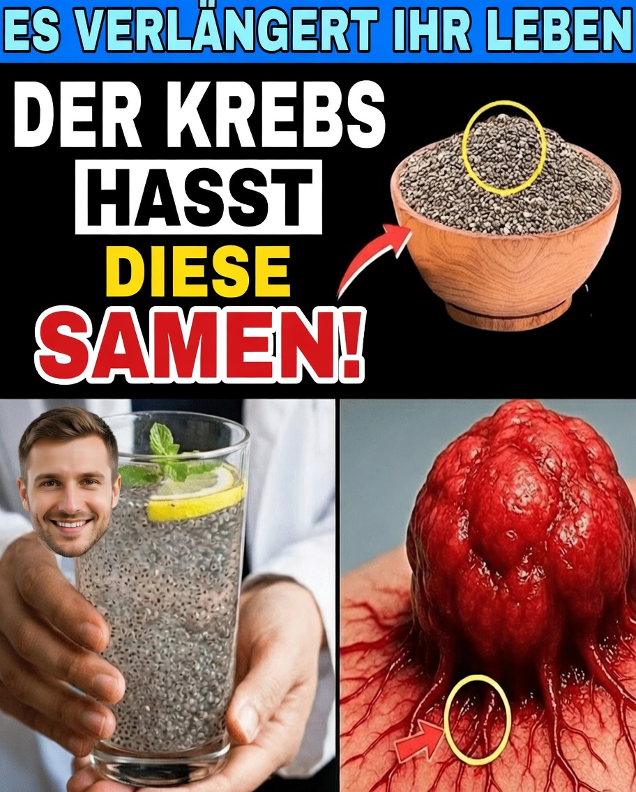 6 Samen für den Alltag, die die Abwehrkräfte Ihres Körpers gegen Krebs nach dem 50. Lebensjahr auf natürliche Weise unterstützen können