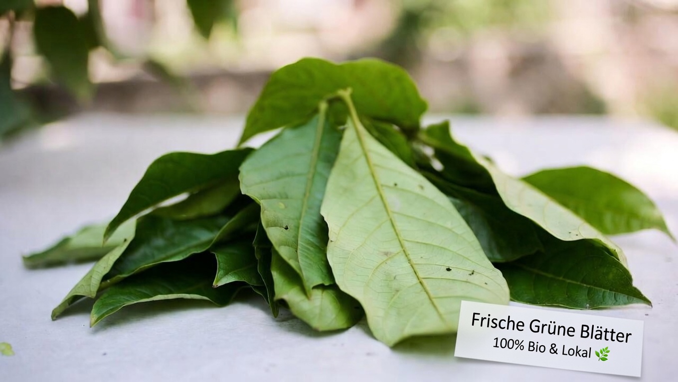 Entdeckung einer einfachen Morgenroutine: Guavenblättertee und seine mögliche Rolle bei der täglichen Unterstützung des Blutzuckerspiegels