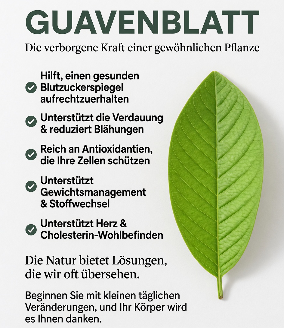 Entdeckung einer einfachen Morgenroutine: Guavenblättertee und seine mögliche Rolle bei der täglichen Unterstützung des Blutzuckerspiegels