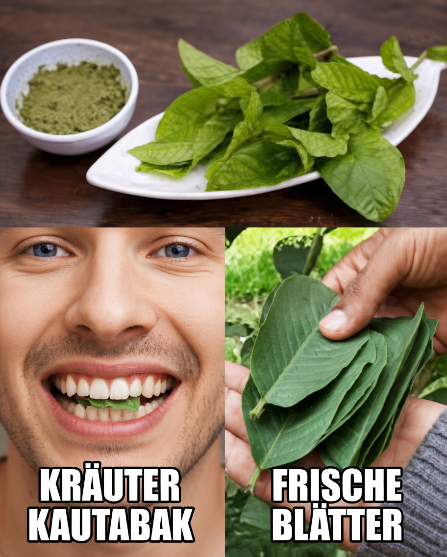 Die 3 besten Möglichkeiten, Karies mit Guavenblättern zu behandeln – einfach und kostengünstig