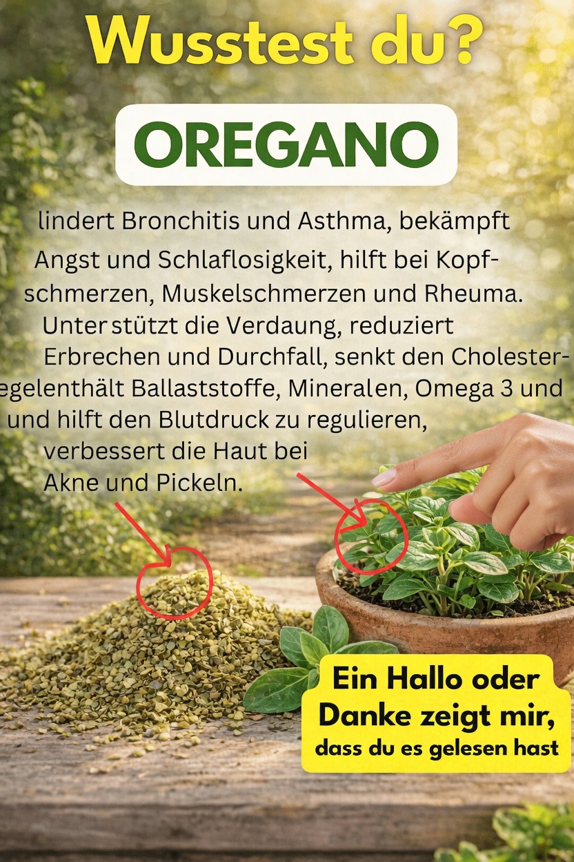 Entdecken Sie die überraschenden Möglichkeiten, wie Oregano Ihre tägliche Wellness-Routine unterstützen kann