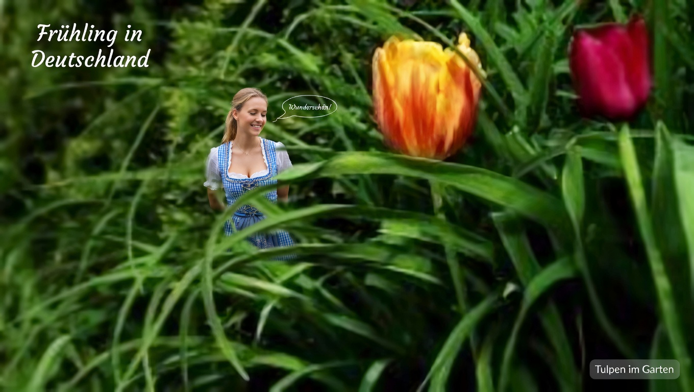 Ageratum conyzoides (Billygoat Weed): 15 unglaubliche Vorteile und wie man es verwendet