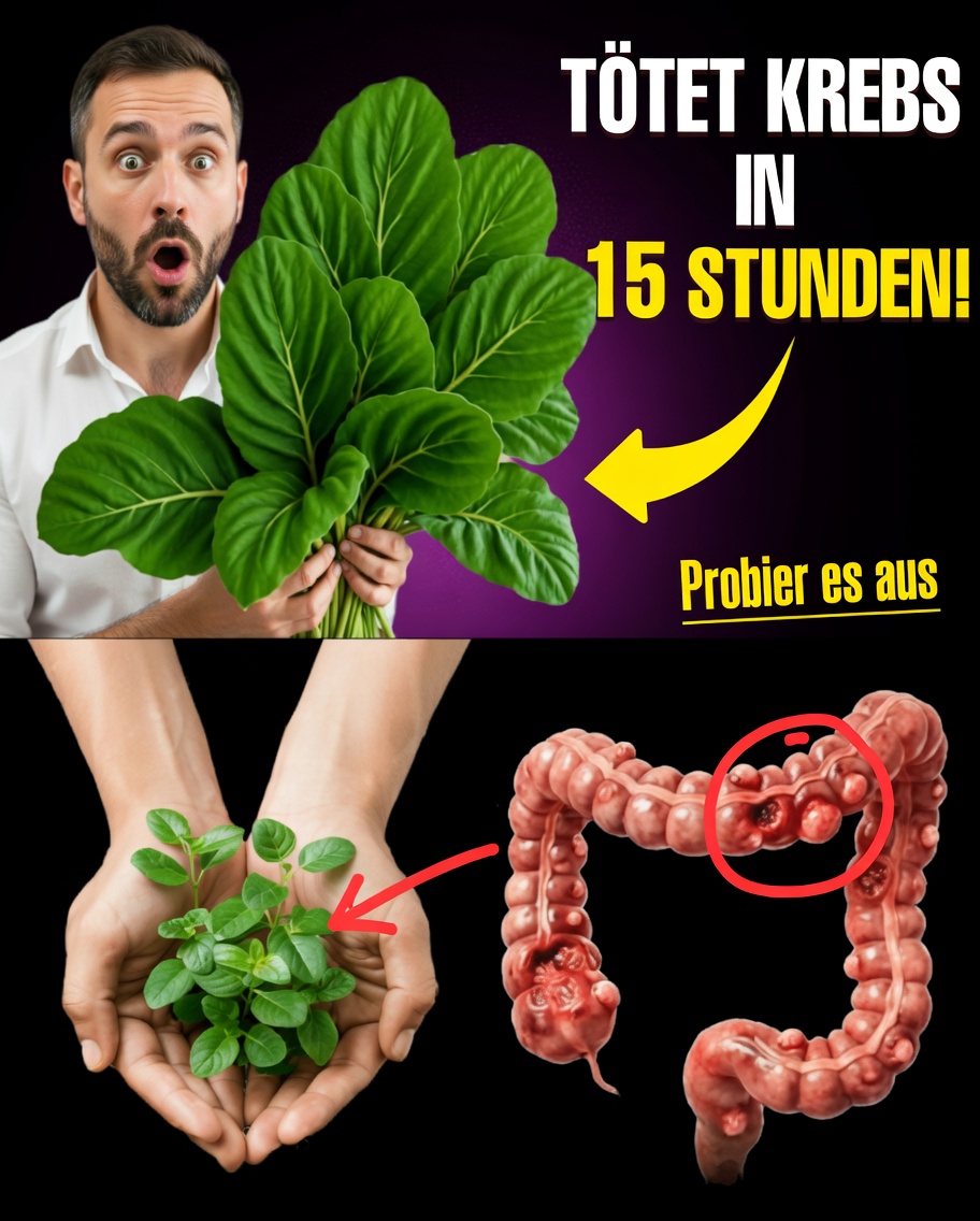 Das übersehene Blatt, das Ihrem Körper möglicherweise helfen kann, Krebszellen zu bekämpfen (und 14 weitere natürliche Strategien, von denen Big Pharma nicht möchte, dass Sie sie kennen)