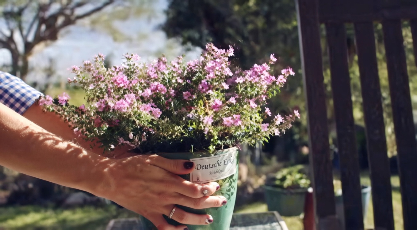 Die verborgene Kraft der Gleditschie: Vorteile und Anwendungen für zu Hause