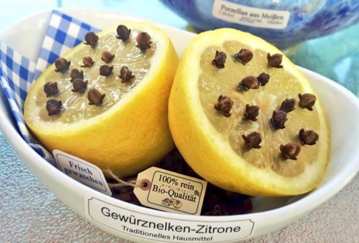 Entdecken Sie eine natürliche Kombination für Gesundheit zu Hause