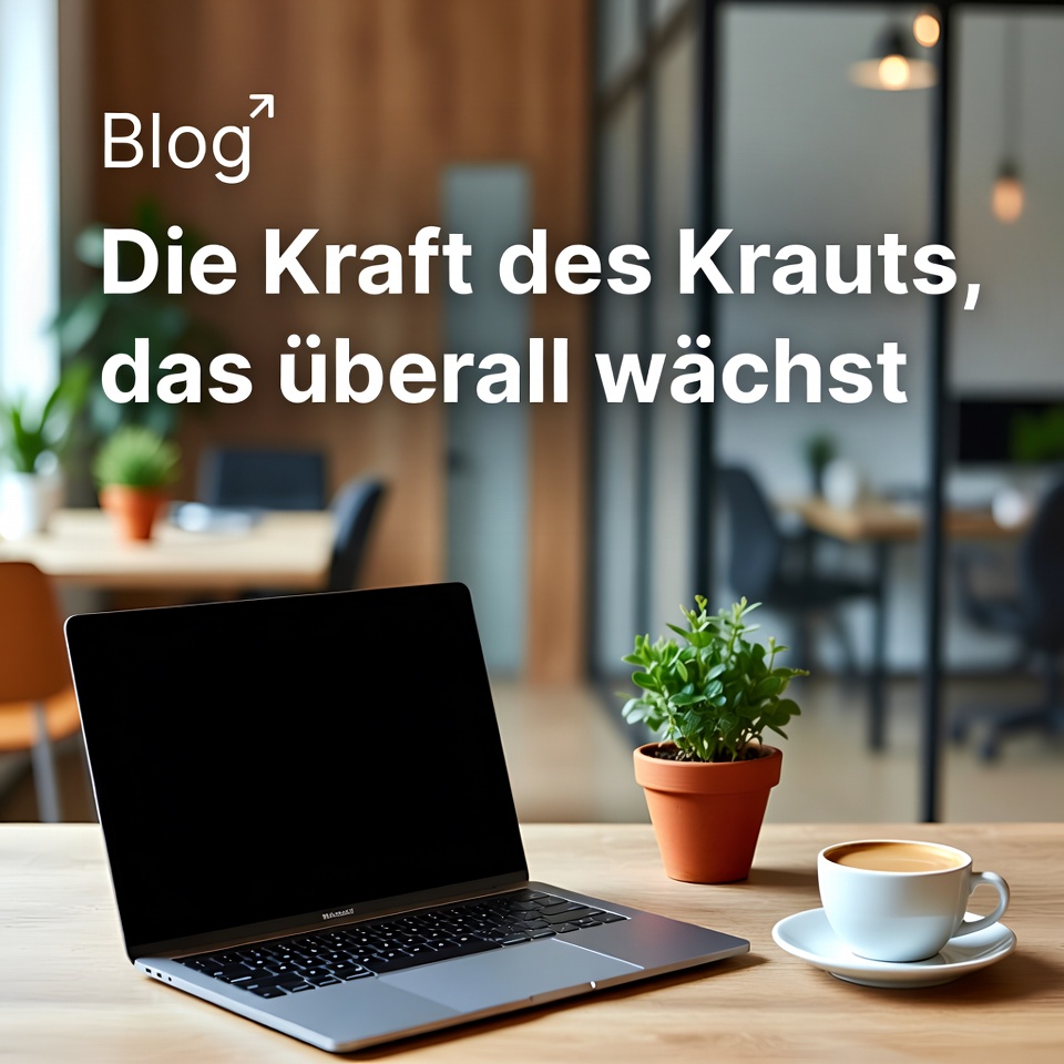 Die Kraft dieses Krauts, das überall wächst