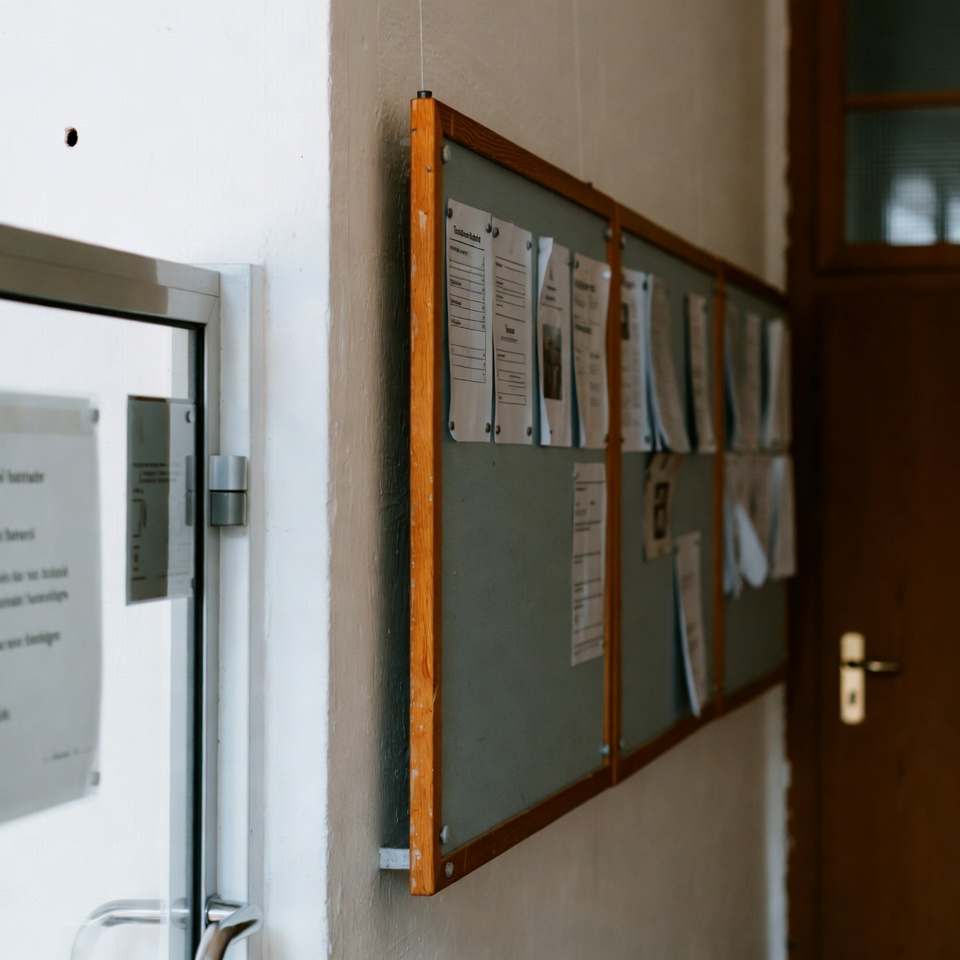 Der Samen, der die Krankenhäuser geleert hat, weil er Krebs, Diabetes, Bluthochdruck und schlechte Durchblutung heilt.