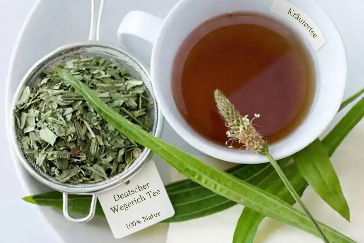 Plantago lanceolata: Die Wildpflanze, die fast alles heilt