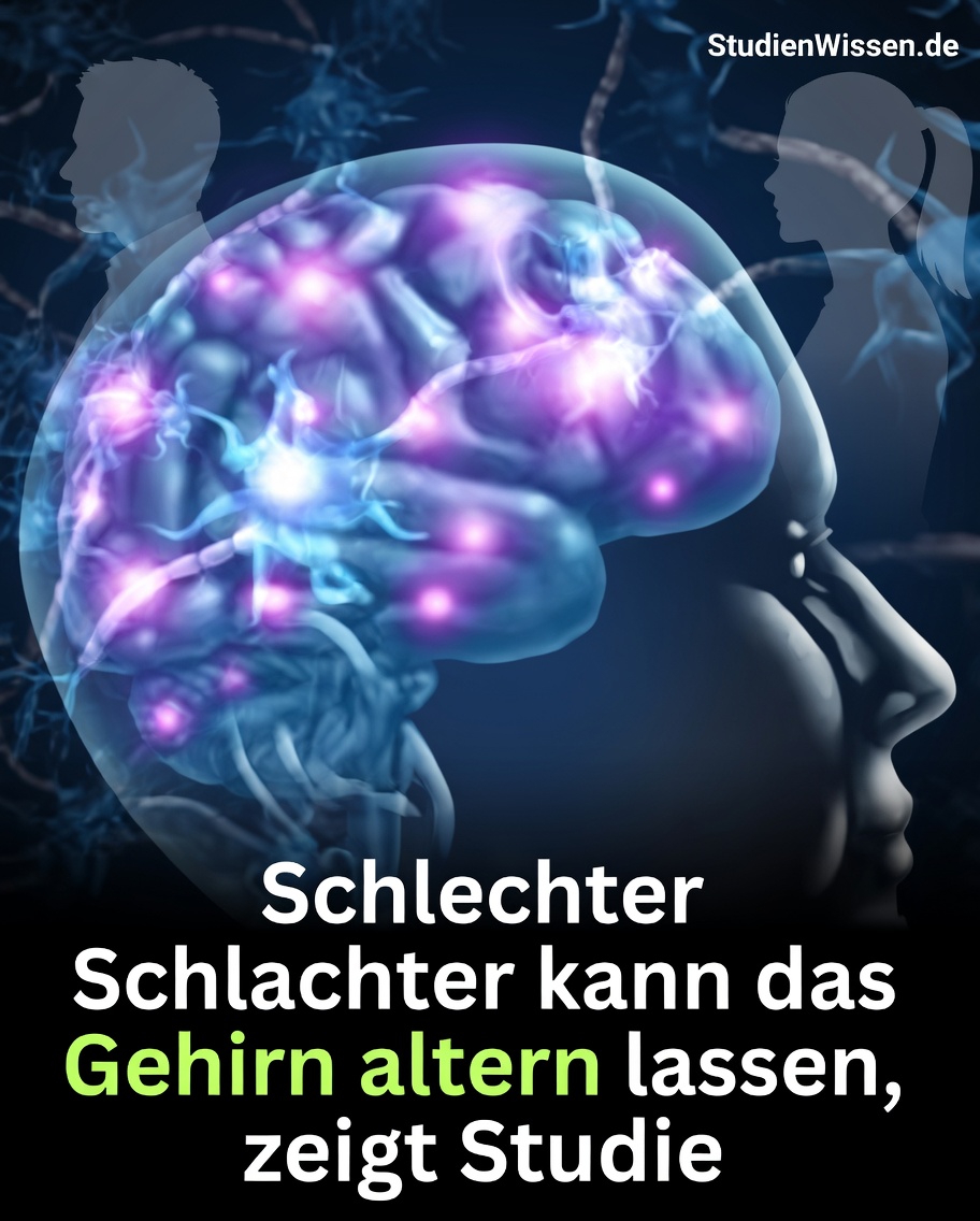 Der überraschende Zusammenhang zwischen Ihren Schlafgewohnheiten und der Gehirngesundheit im späteren Leben
