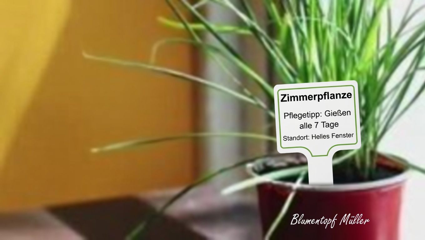 30 kraftvolle Vorteile von Sessile Joyweed (Alternanthera sessilis)