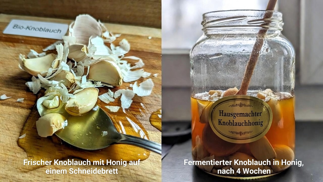 Knoblauch und Honig: Entdecken Sie 20 alltägliche Möglichkeiten, wie diese einfache Mischung Ihre Wellness-Routine unterstützt