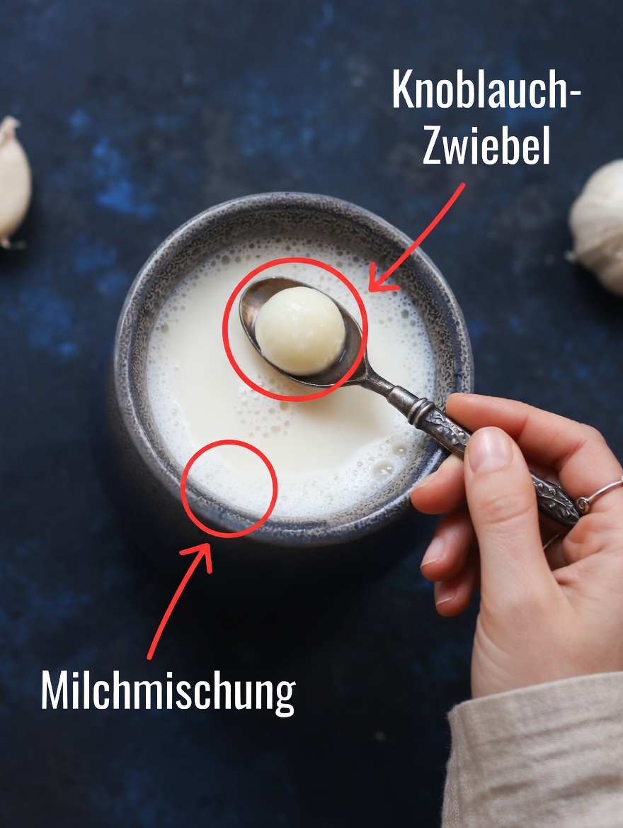 7 unglaubliche Vorteile des Kochens von Knoblauch in Milch: Ein Gesundheitsmittel, das in wenigen Tagen wirkt
