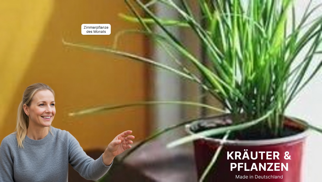 Natürliche Schädlingsbekämpfung: Mit scharfem roten Pfeffer Blattläuse und Schnecken abwehren