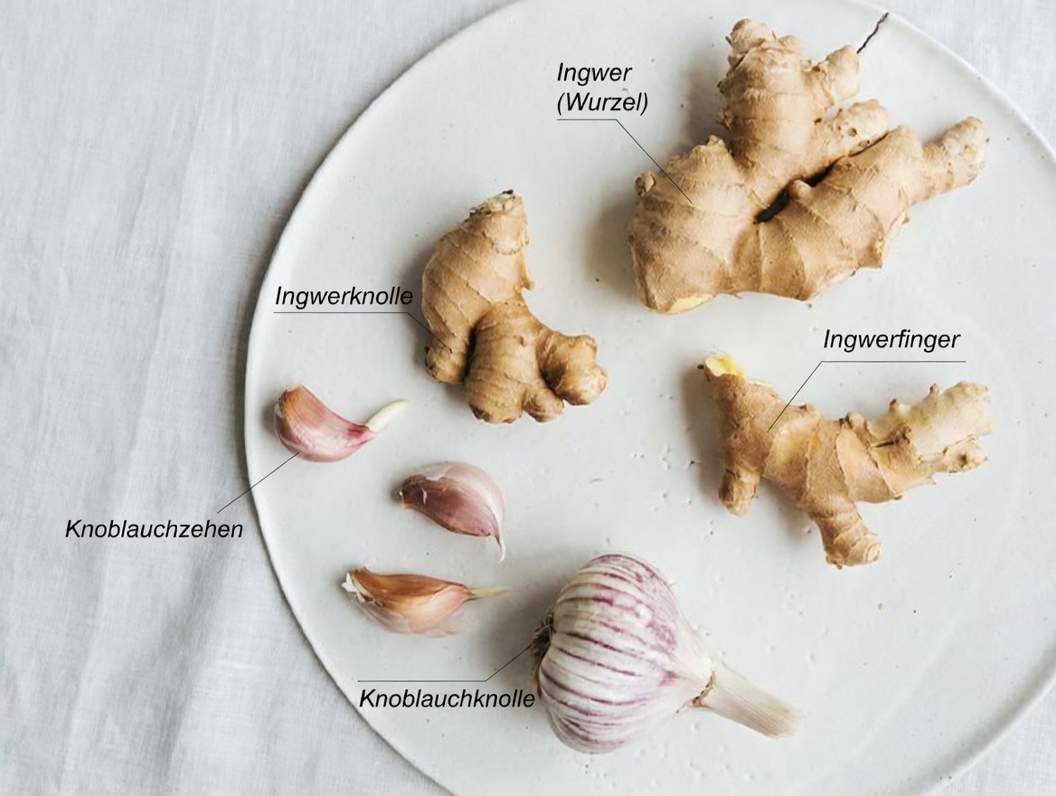 Entdecken Sie einfache Möglichkeiten, Knoblauch, Ingwer, Zitrone und Minze zur Unterstützung der Herzgesundheit in Ihre Ernährung zu integrieren