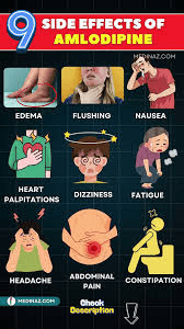 Was sind die häufigsten Nebenwirkungen von Amlodipin und wie kann man sie behandeln?