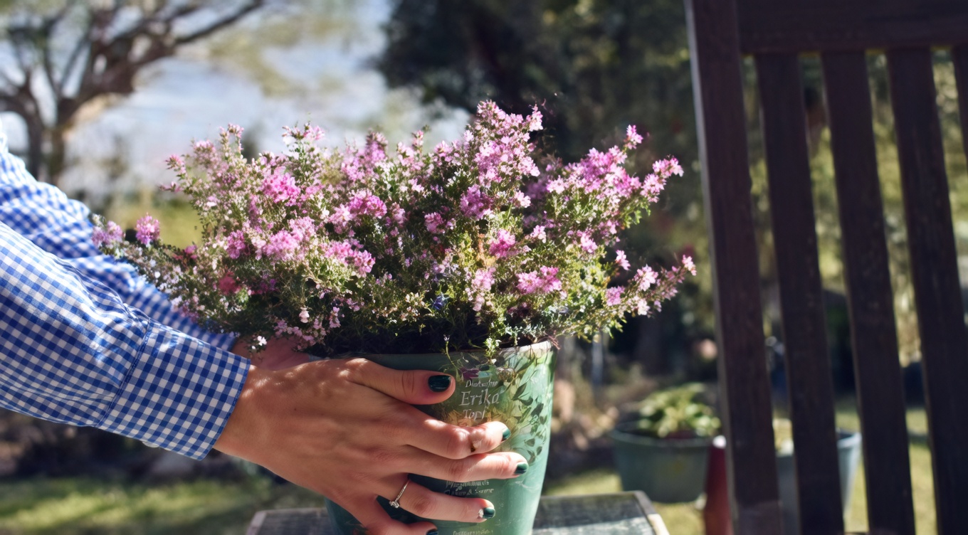 Schafgarbe: Ein zeitloser pflanzlicher Verbündeter mit erstaunlichen gesundheitlichen Vorteilen