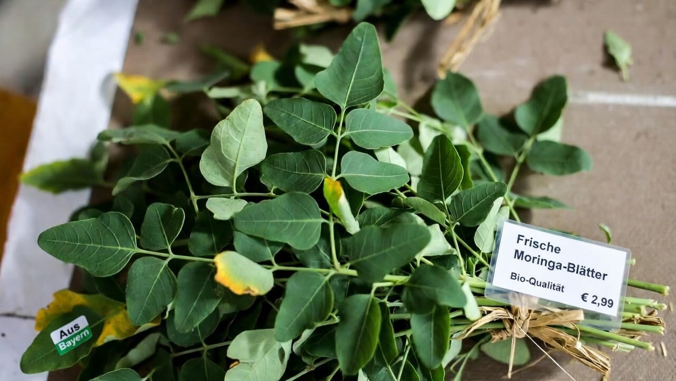 Drei nährstoffreiche Blätter, die die natürlichen Abwehrkräfte Ihres Körpers unterstützen können