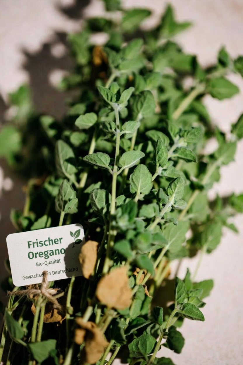 Was macht Oregano so besonders?