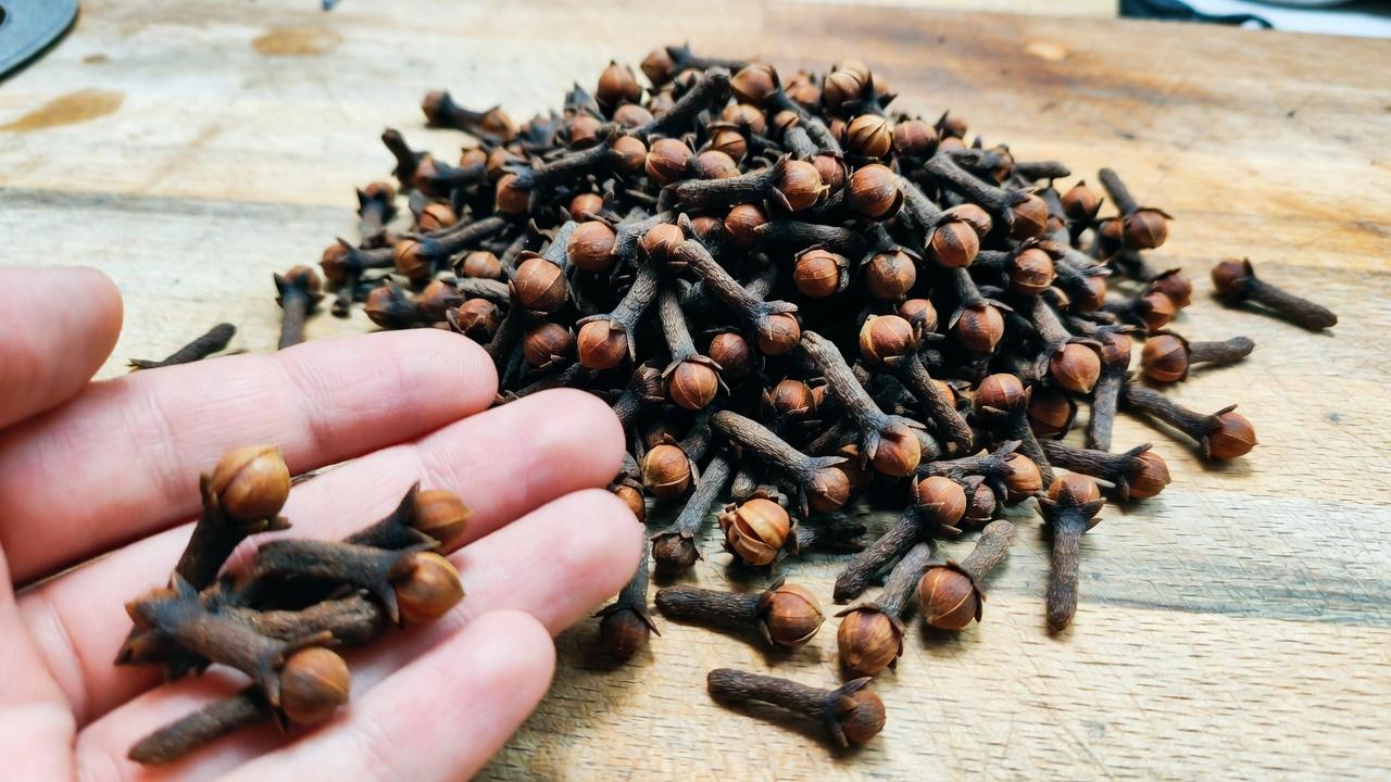 9 natürliche Wege, gesündere Zähne zu unterstützen und Plaquebildung zu reduzieren