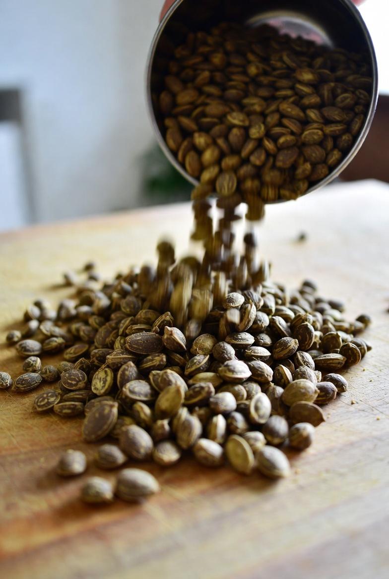 Entdecken Sie, wie Moringasamen mit zunehmendem Alter die Muskelgesundheit unterstützen können