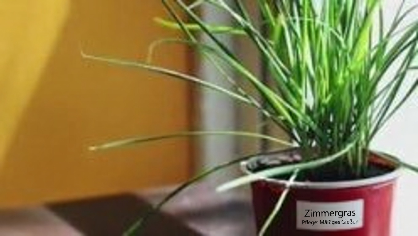 Der mächtige Löwenzahn: Der verborgene Schatz der Natur