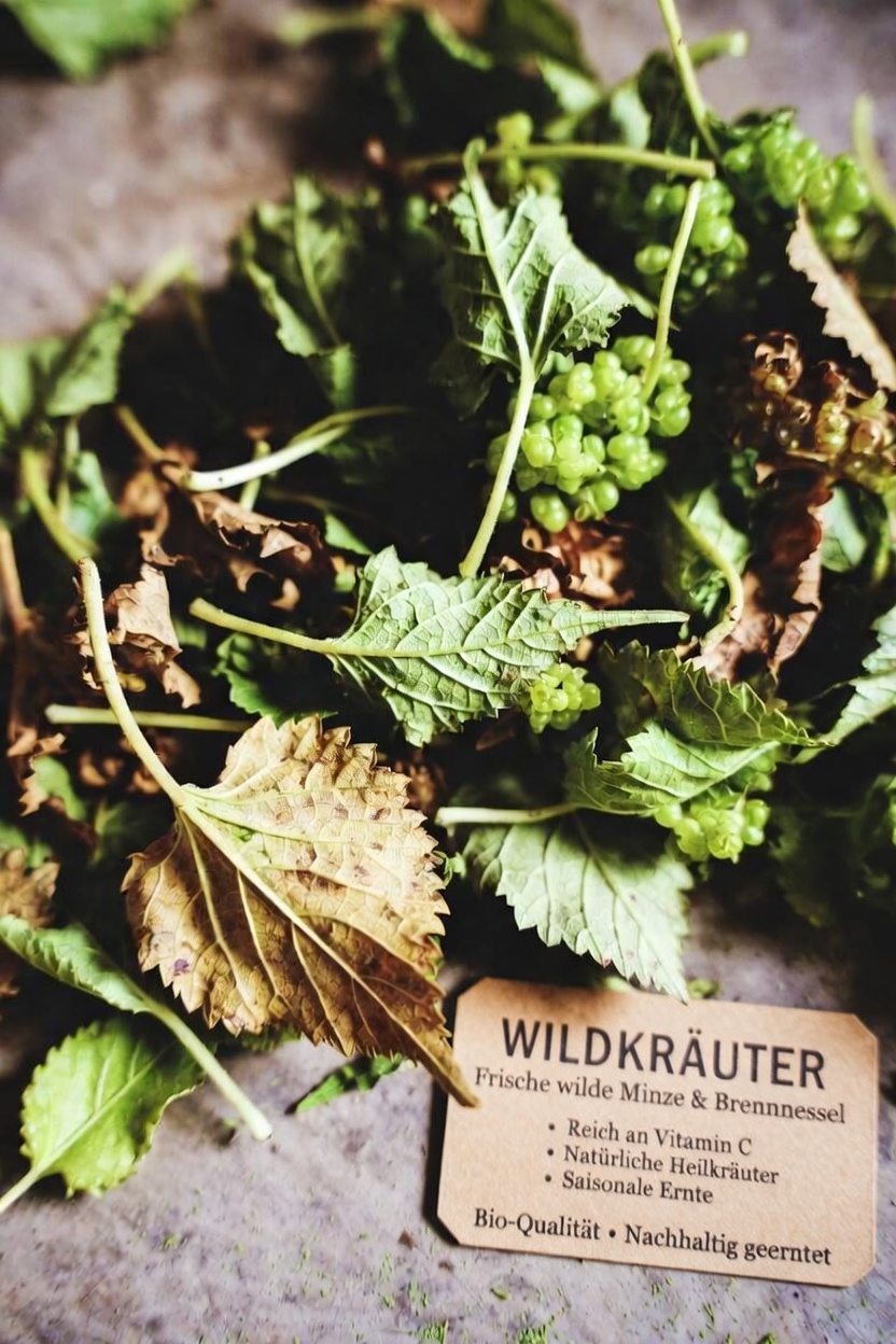 Maulbeerblätter: Ein natürlicher Weg, durch alltägliche Gewohnheiten einen gesunden Blutzuckerspiegel und die Herzgesundheit zu unterstützen