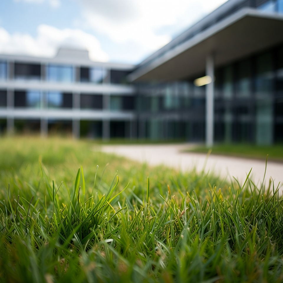 Die unglaublichen gesundheitlichen und ökologischen Vorteile von Bermudagras, die Sie kennen sollten