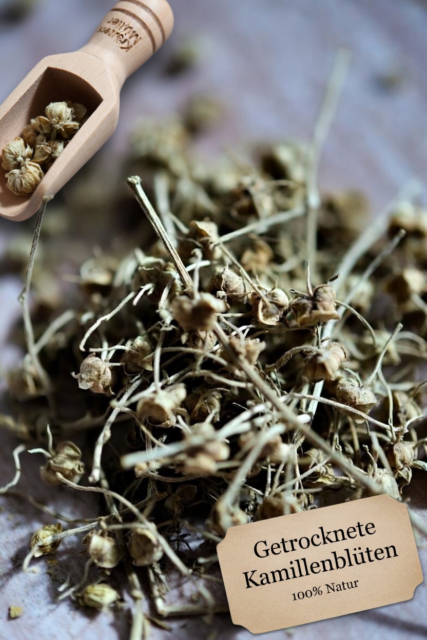 10 häufige Medikamente, die Ihren Nieren schaden und Proteinurie potenziell verschlimmern können