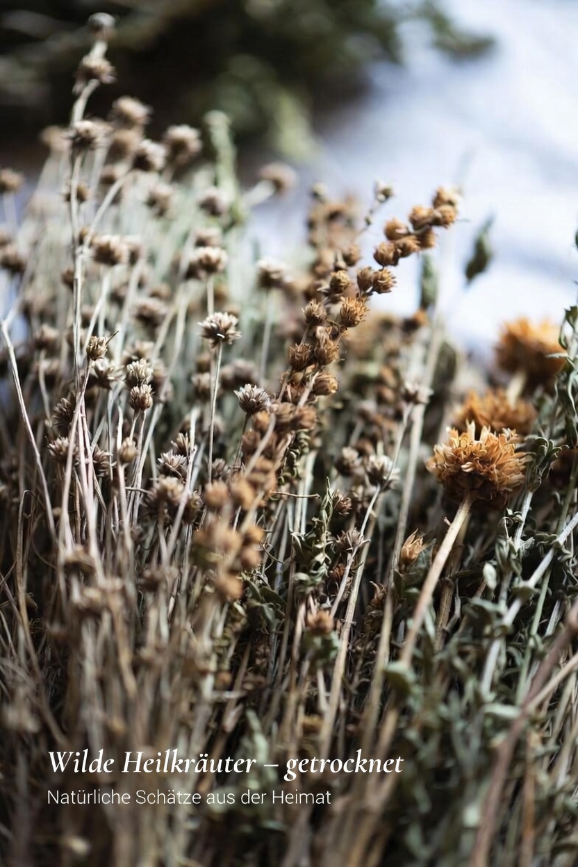 10 häufige Medikamente, die Ihren Nieren schaden und Proteinurie potenziell verschlimmern können
