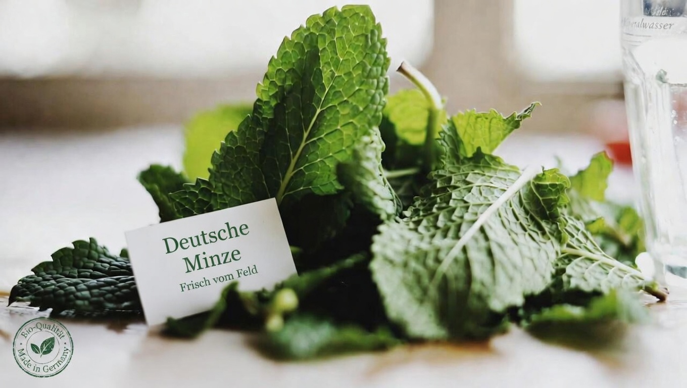 Oregano Orejón: Das wenig bekannte Kraut, das Ihre Sehkraft auf natürliche Weise schützen könnte