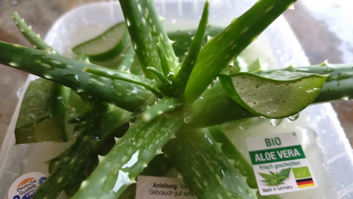 Entdecken Sie die potenziellen Vorteile von Aloe Vera und Zimt für das tägliche Wohlbefinden und den Augenkomfort