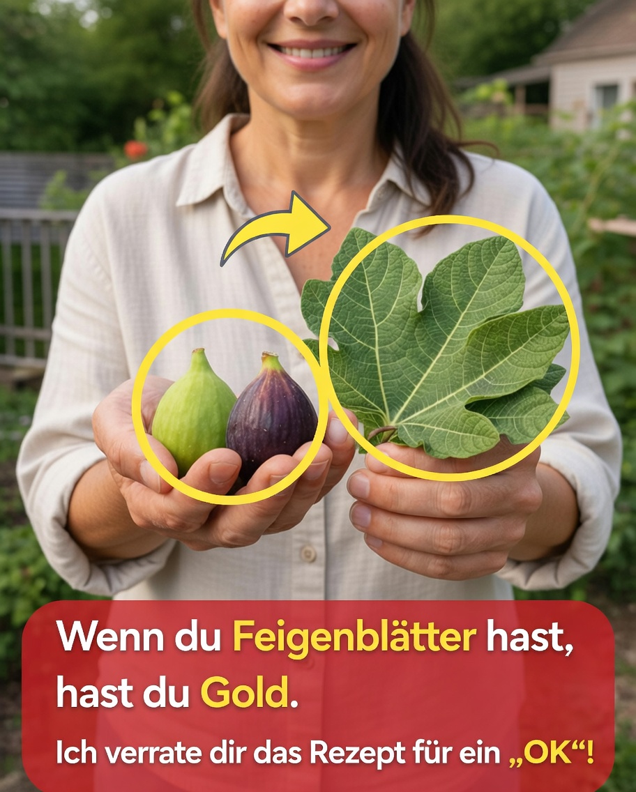 Die verborgene Kraft von Feigenblättern: Ein einfacher Kräutertee, den Sie vielleicht ausprobieren möchten