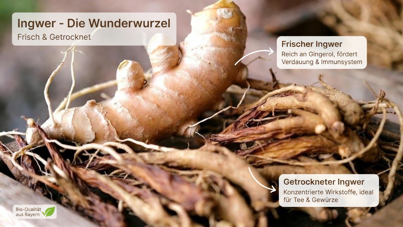 Über 60? Entdecken Sie diese 3 Kräutertees, um eine gesunde Durchblutung zu unterstützen und kräftigere Schritte bei Ihren täglichen Spaziergängen zu fördern