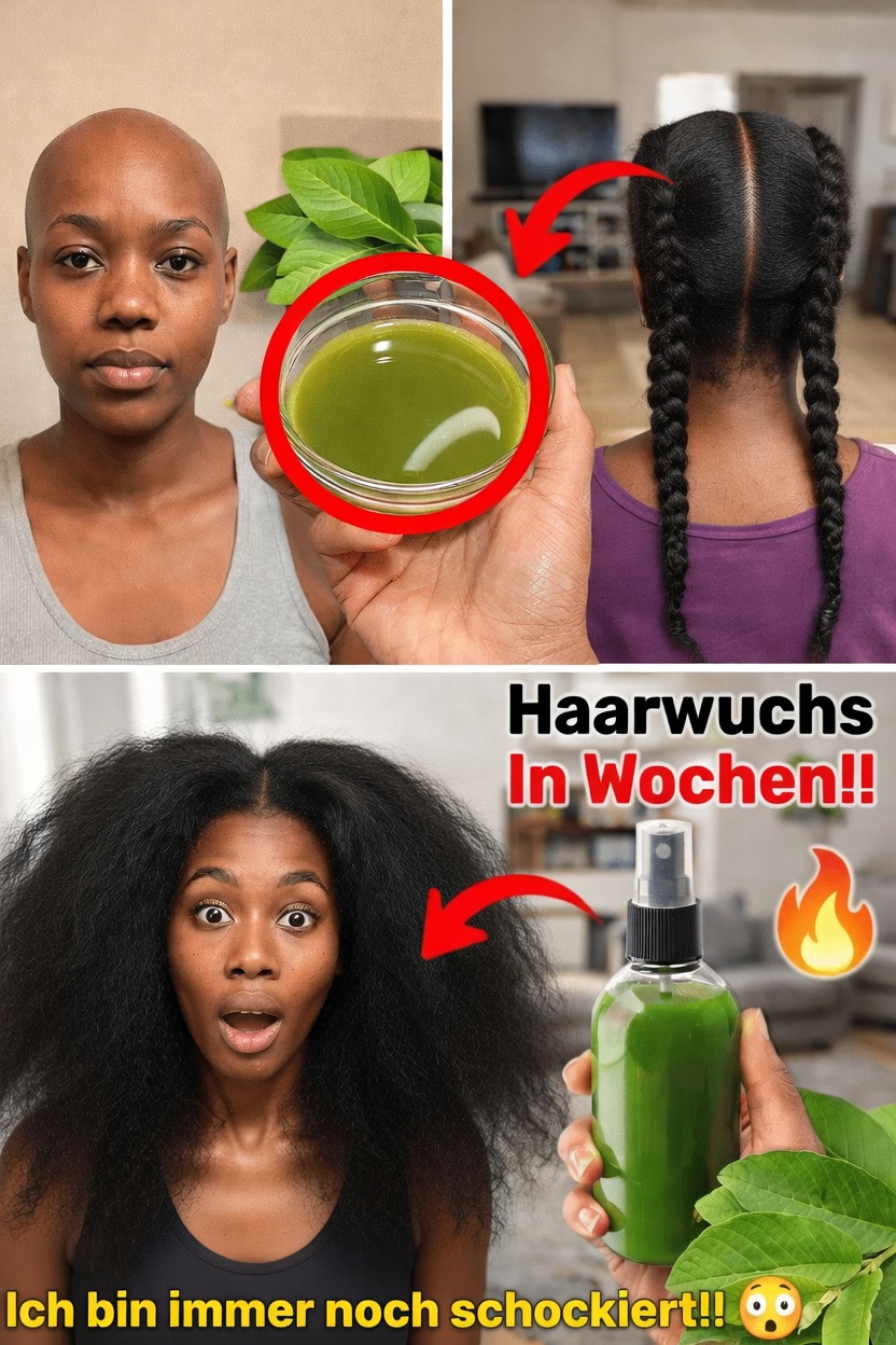 Können Guavenblätter zu gesünderem Haar beitragen? Potenzielle Vorteile und Anwendungsmöglichkeiten