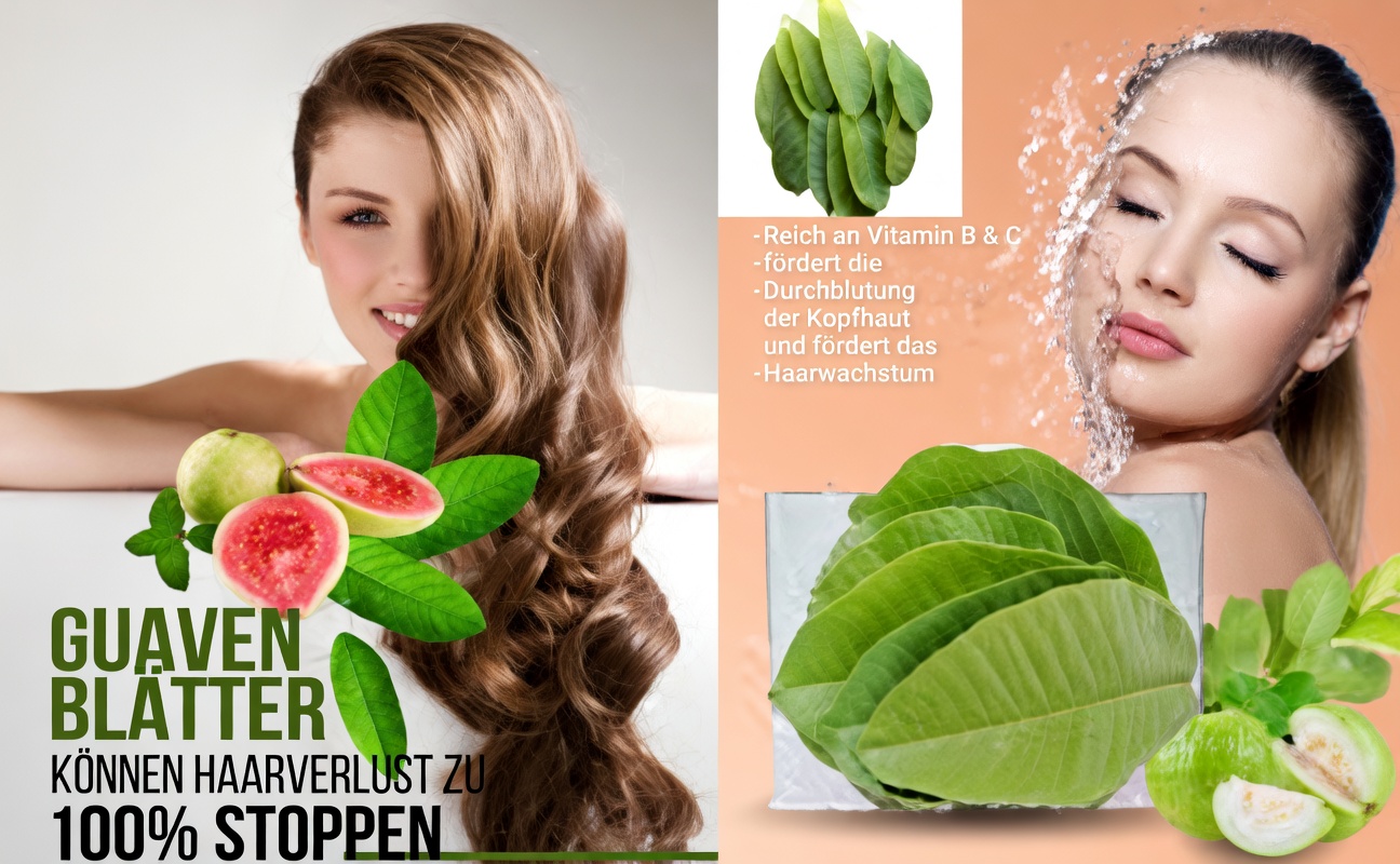 Können Guavenblätter zu gesünderem Haar beitragen? Potenzielle Vorteile und Anwendungsmöglichkeiten