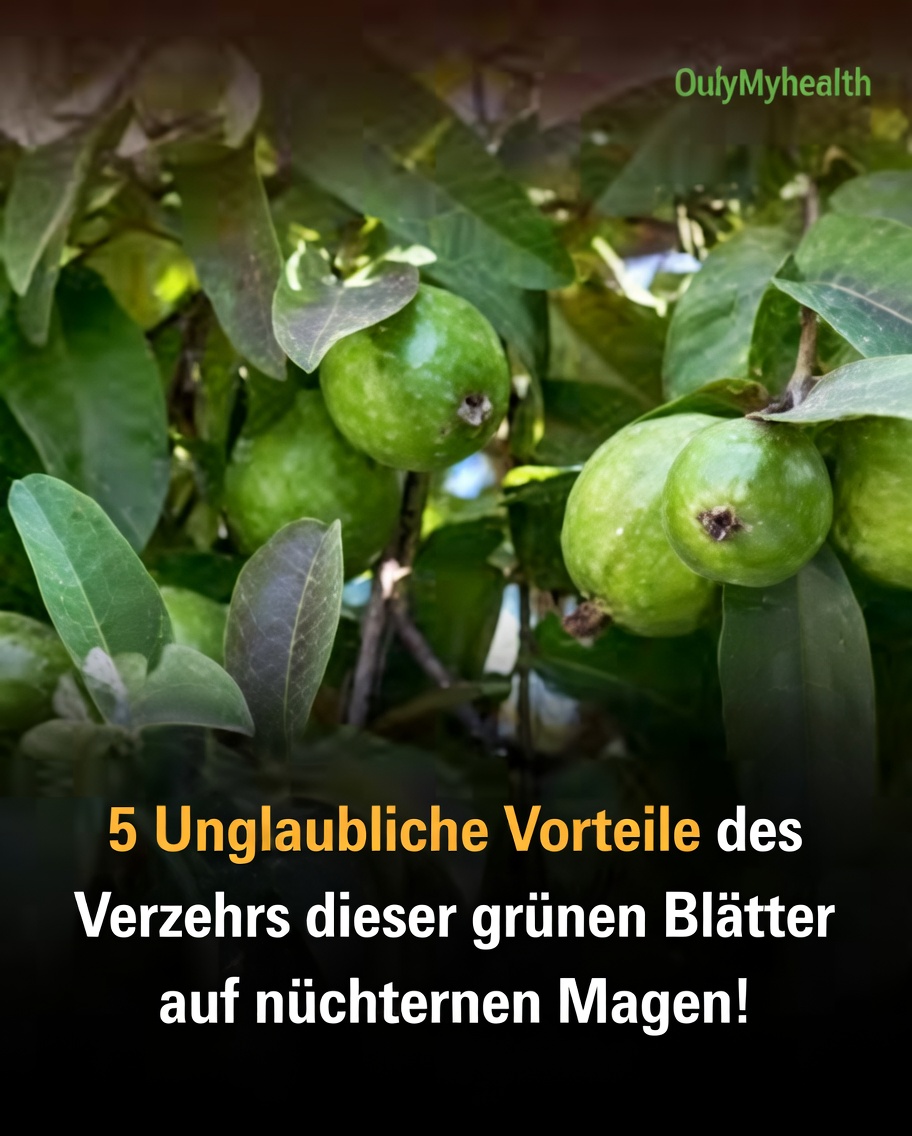 Können Guavenblätter zu gesünderem Haar beitragen? Potenzielle Vorteile und Anwendungsmöglichkeiten