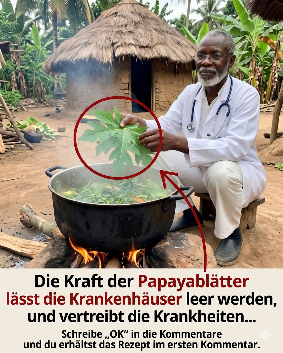 Gekochte Papayablätter: tatsächliche Vorteile, Zubereitung und was die Wissenschaft sagt